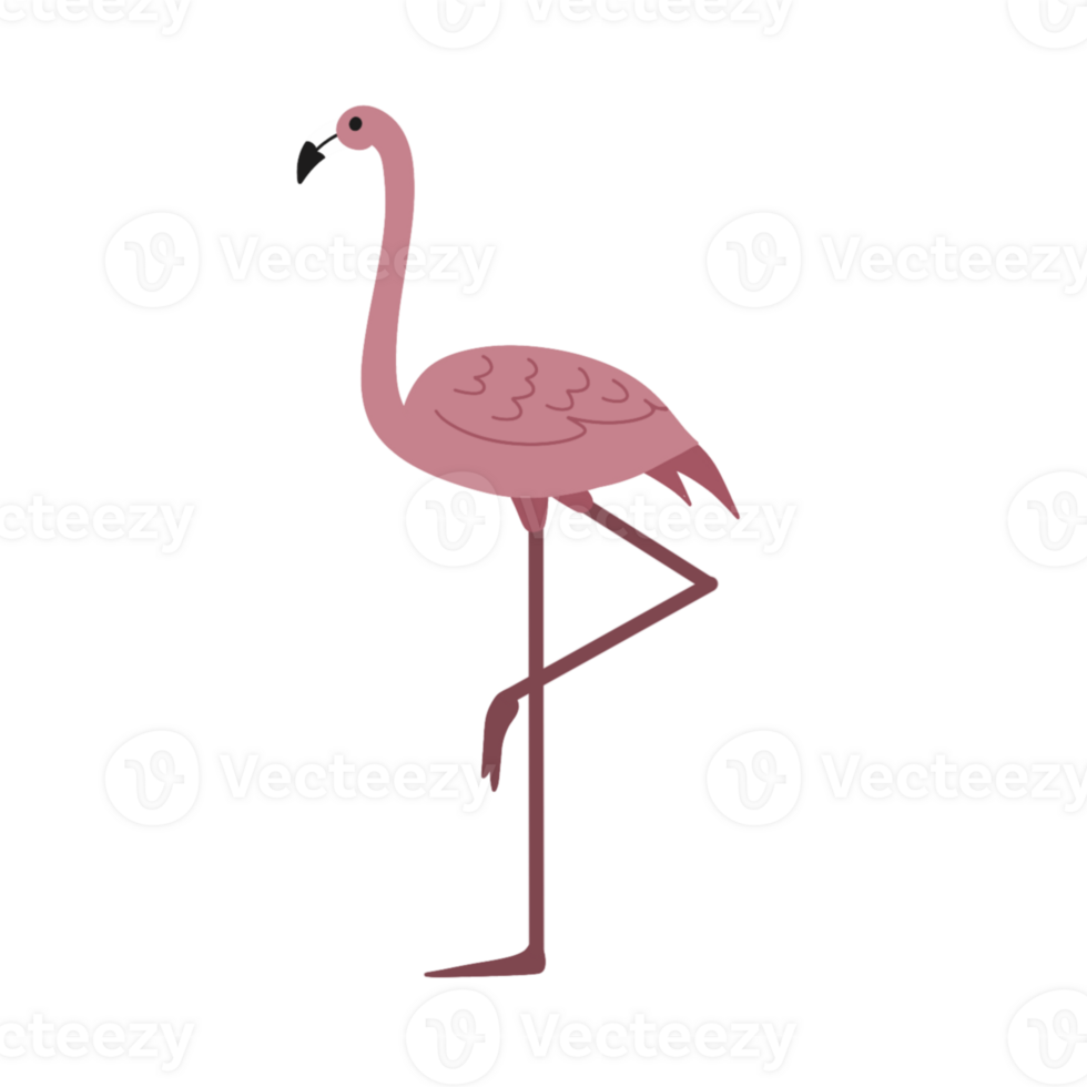 Cute flamingo illustration png