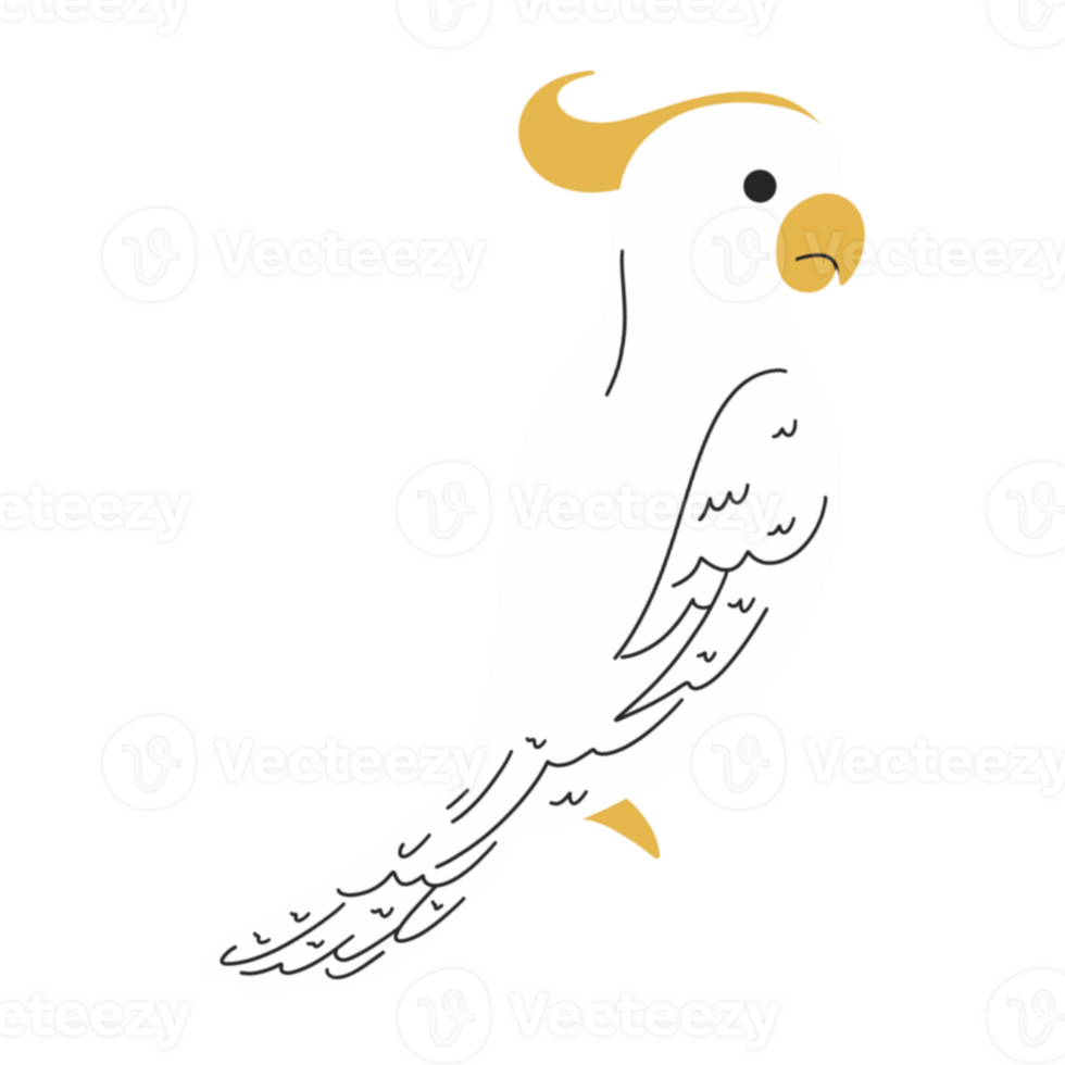 White parrot illustration png