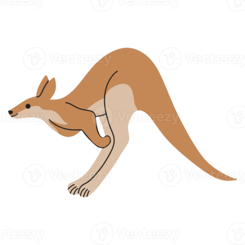 Kangaroo jump illustration png