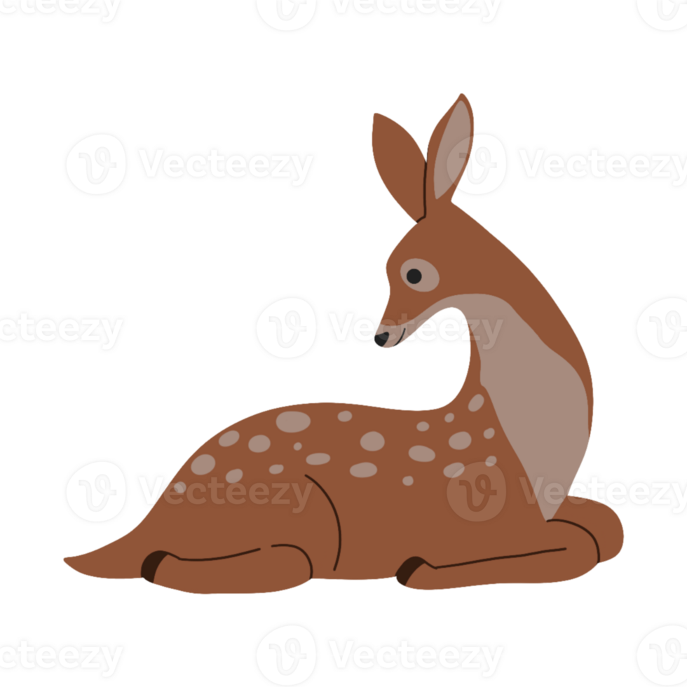 Brown deer illustration png