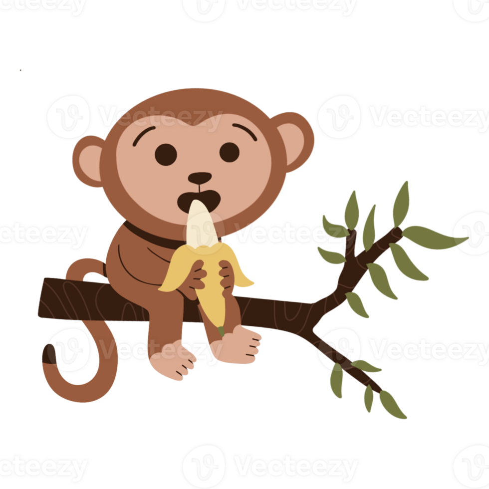 Cute monkey eat banana on tree illustration png