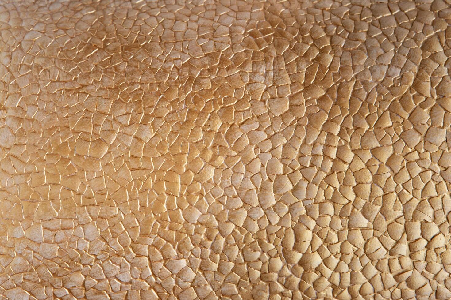 craquelure texture, cracked earth texture. old craquelure background photo