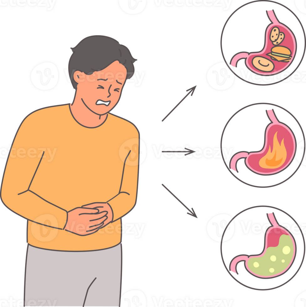 Man suffers from abdominal pain due to stomach problems and needs help of gastroenterologist. Heartburn and gastritis in young guy leading unhealthy lifestyle causing stomach overload png
