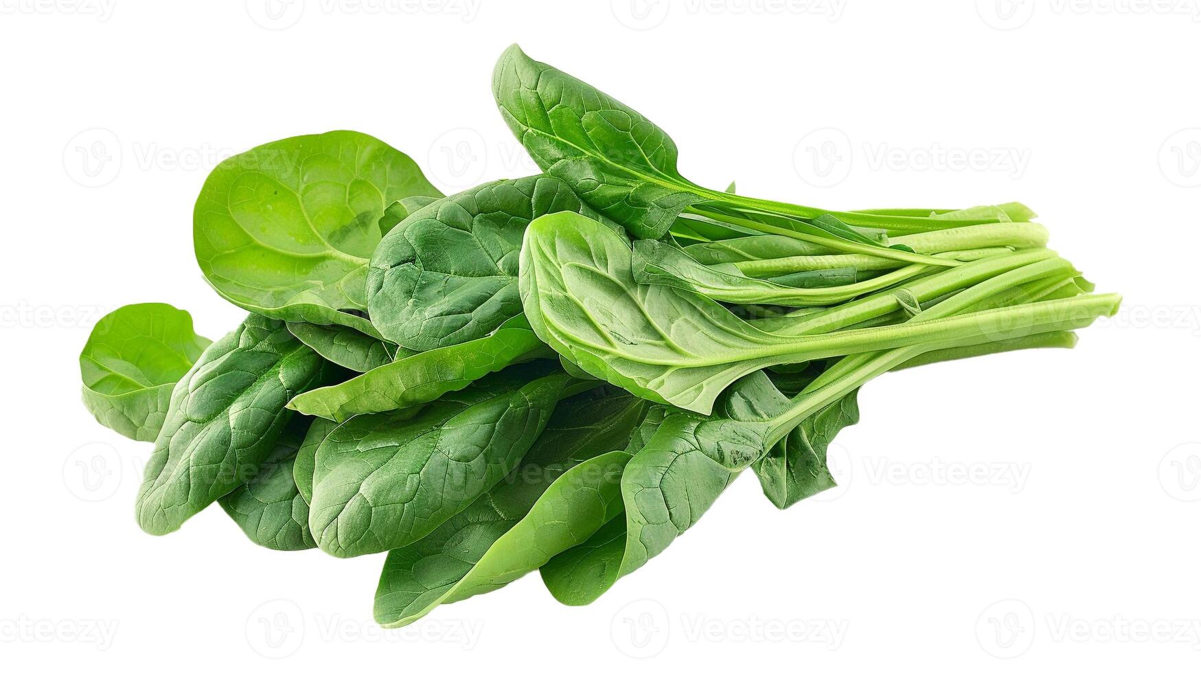 fresh spinach leaves on white background photo