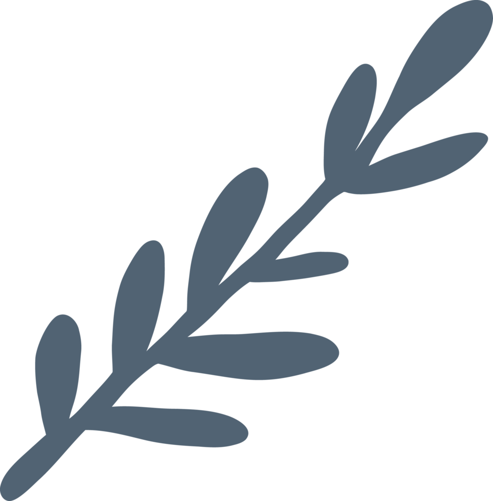Simplicity floral freehand drawing flat design. png