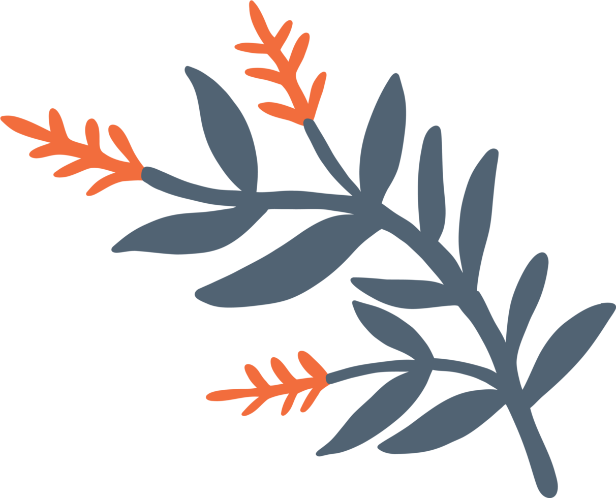 Simplicity floral freehand drawing flat design. png