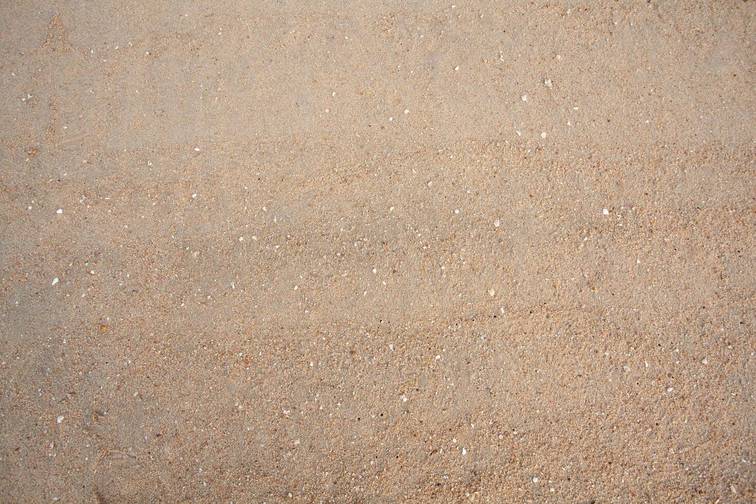 Sand background is used for design work. photo