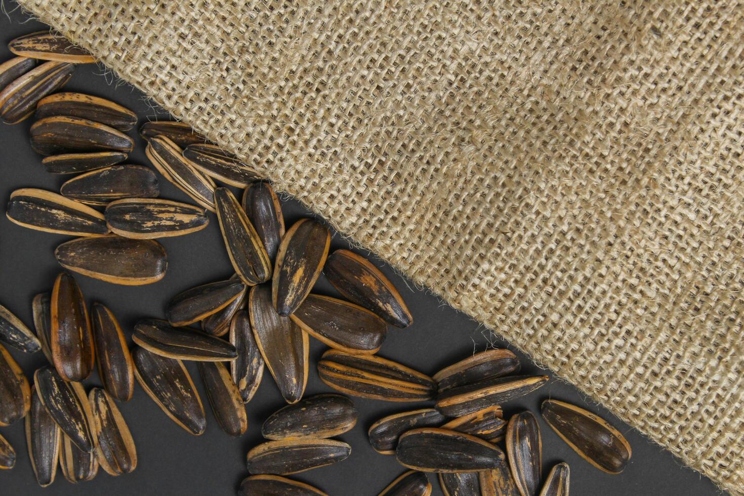 background of sunflower seeds separated by burlap background photo