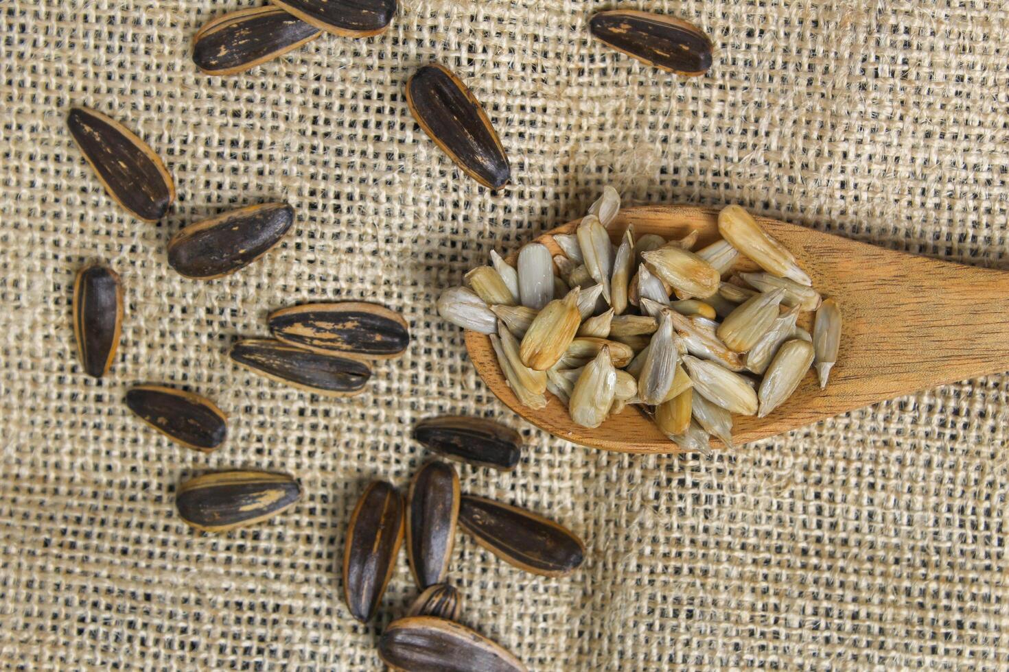 Sprinkle unpeeled sunflower seeds on burlap and shelled ones on wooden spoon on burlap backround photo