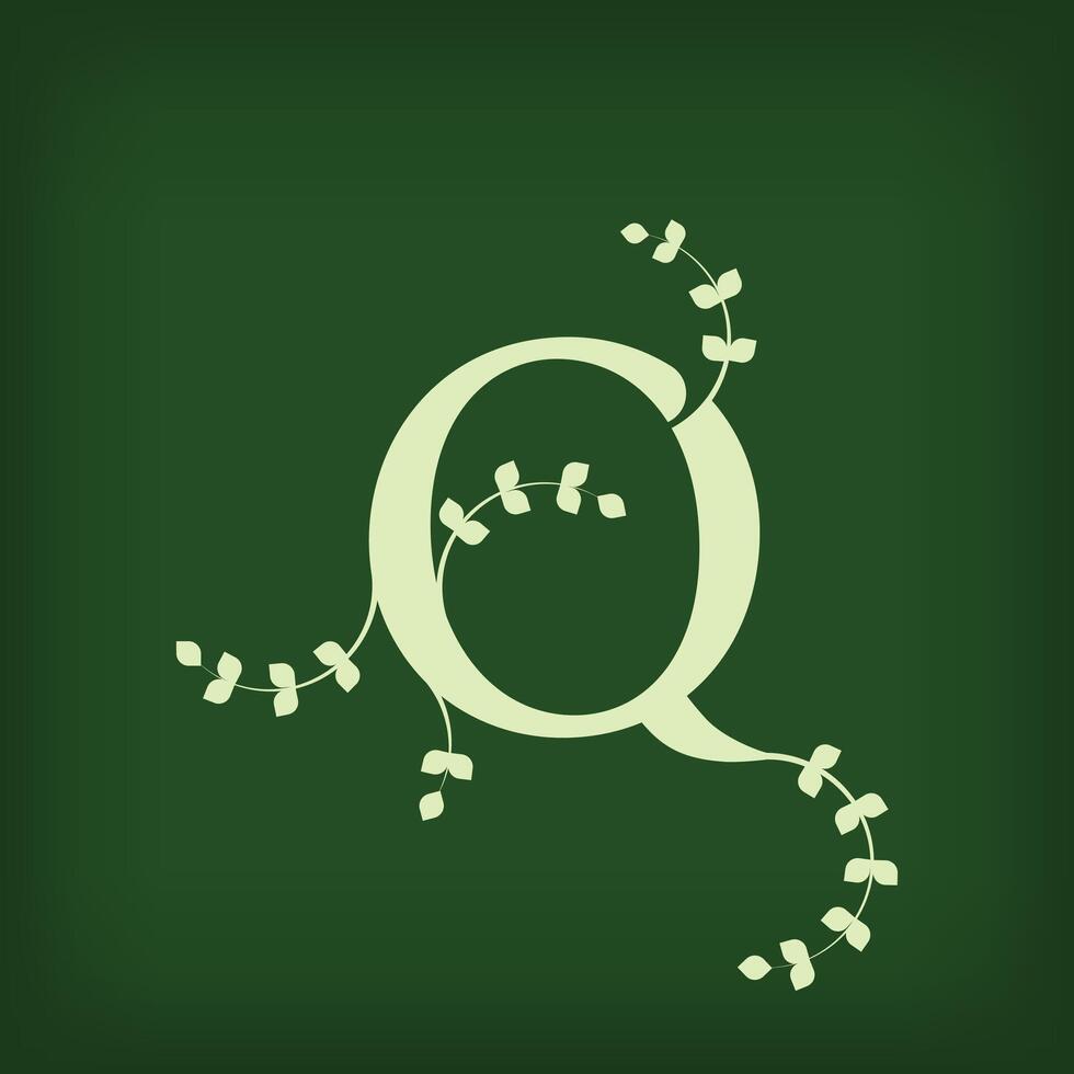 Premium leaf typography, Letter Q Initials Logo. Symbol icon design. Unique leaf combination. Flat Design. vector