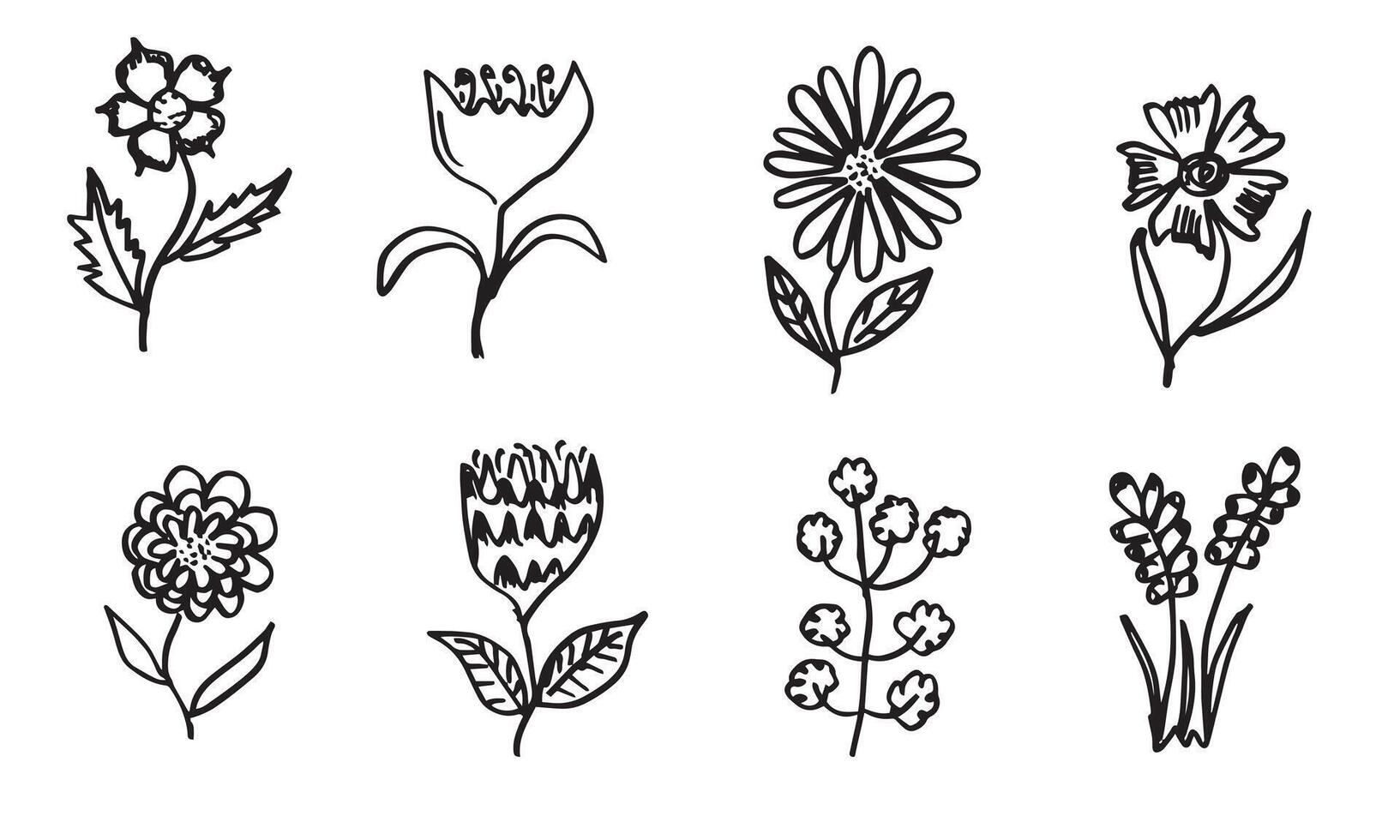 a collection of hand-drawn flower images such as bellflower, chrysanthemums, sunflowers, cotton flowers, and tropical leaves vector