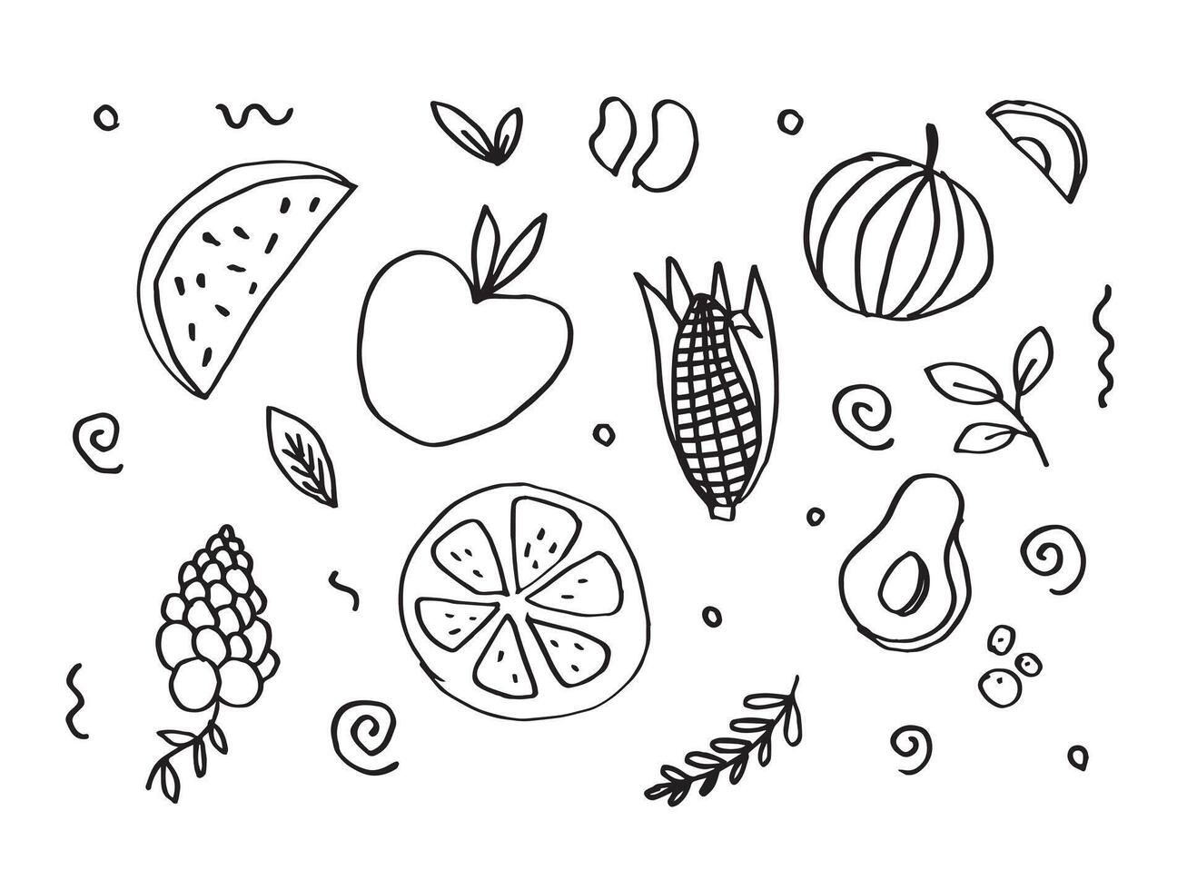 Various fruit sketch on white background. vector