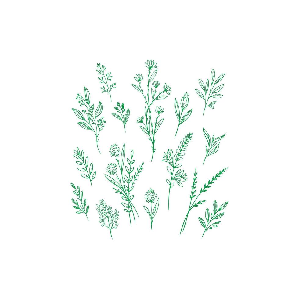 design of various leaf patterns vector