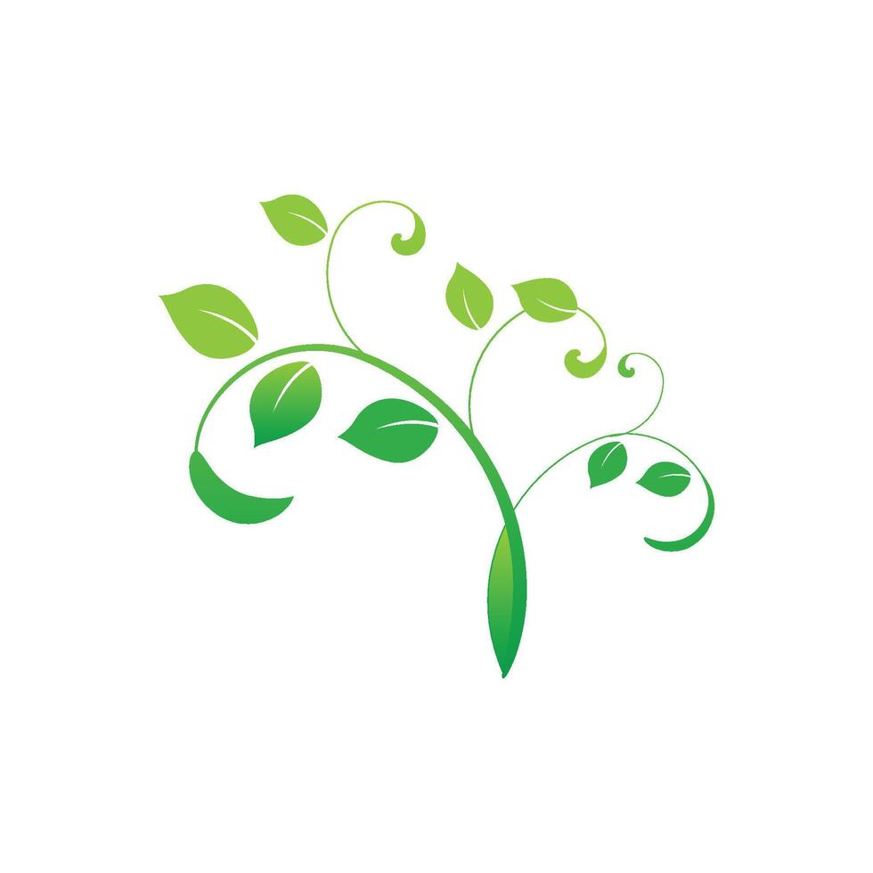 unique design of green leaf stalks vector