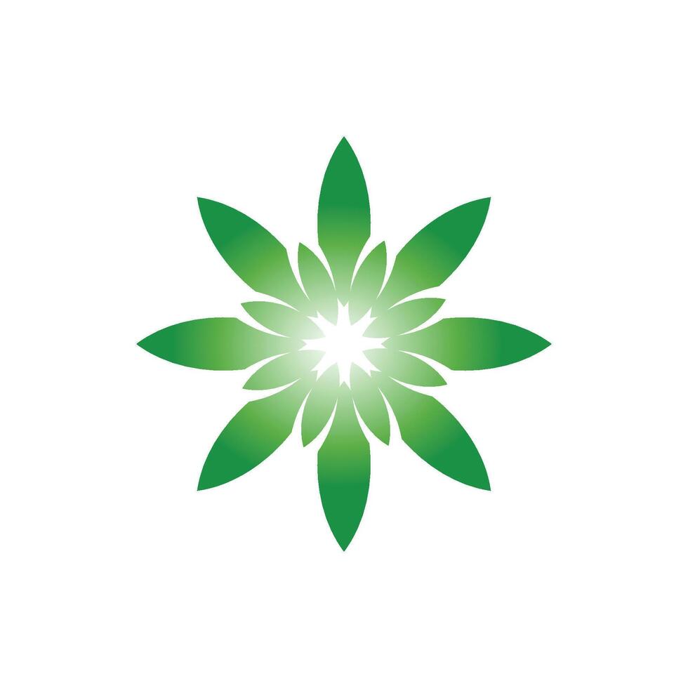 leaf pattern various five type of graphics vector