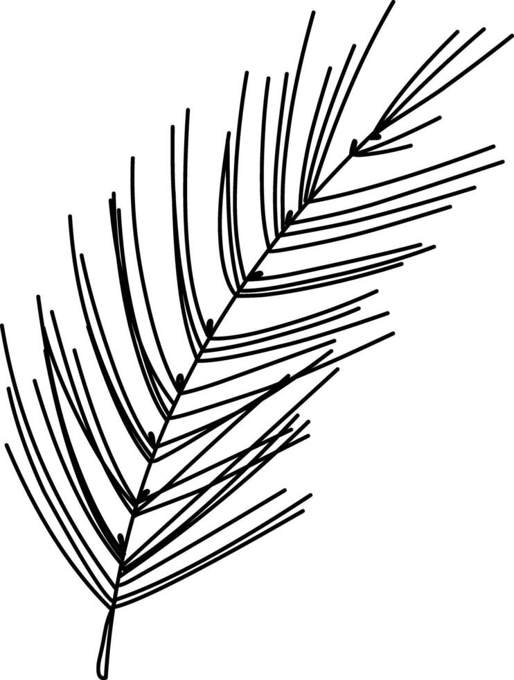 Coniferous tree branch, pine, spruce branch illustration. Hand drawn doodles illustration.Line art vector
