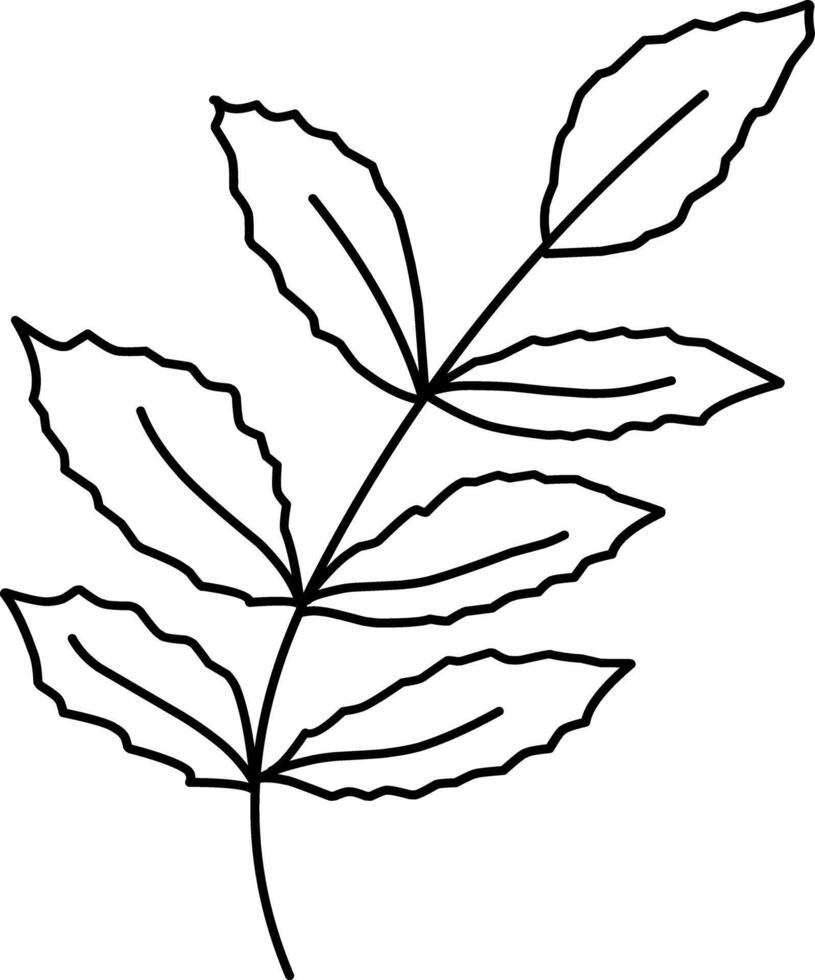 Branch illustration. Hand drawn doodles illustration.Line art. Icon vector