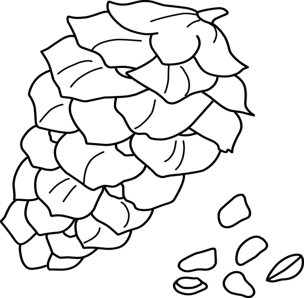 Spruce cone with nuts illustration. Hand drawn doodles illustration.Line art. Icon vector