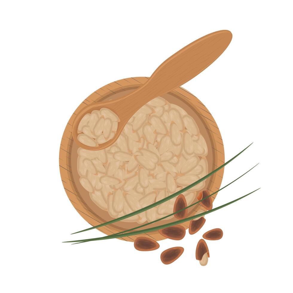 Illustration logo Clip art Top view pine nuts vector