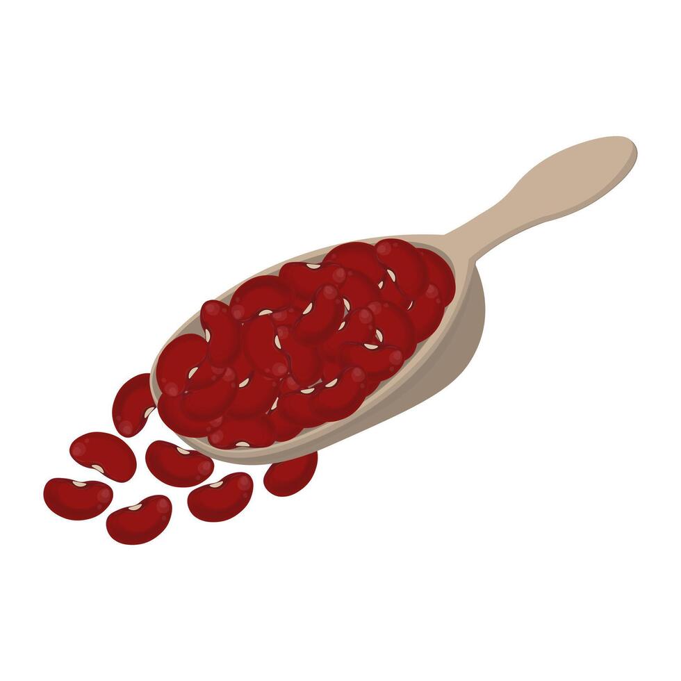 Illustration logo Clip art Red beans or kidney beans vector