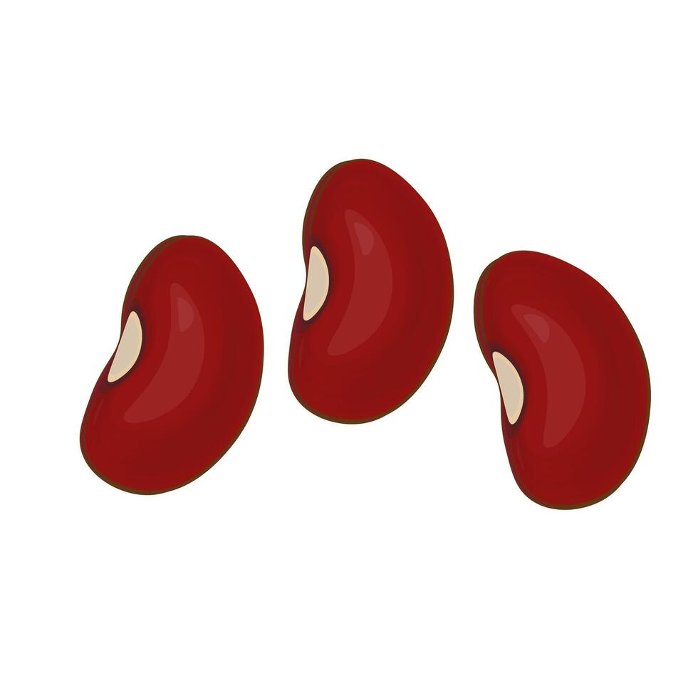 Illustration logo Clip art cartoon red beans vector