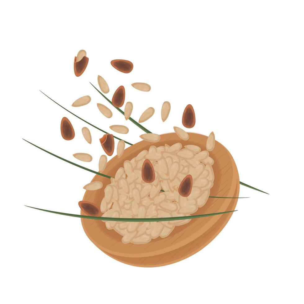 Illustration logo Clip art pine nuts levitation vector