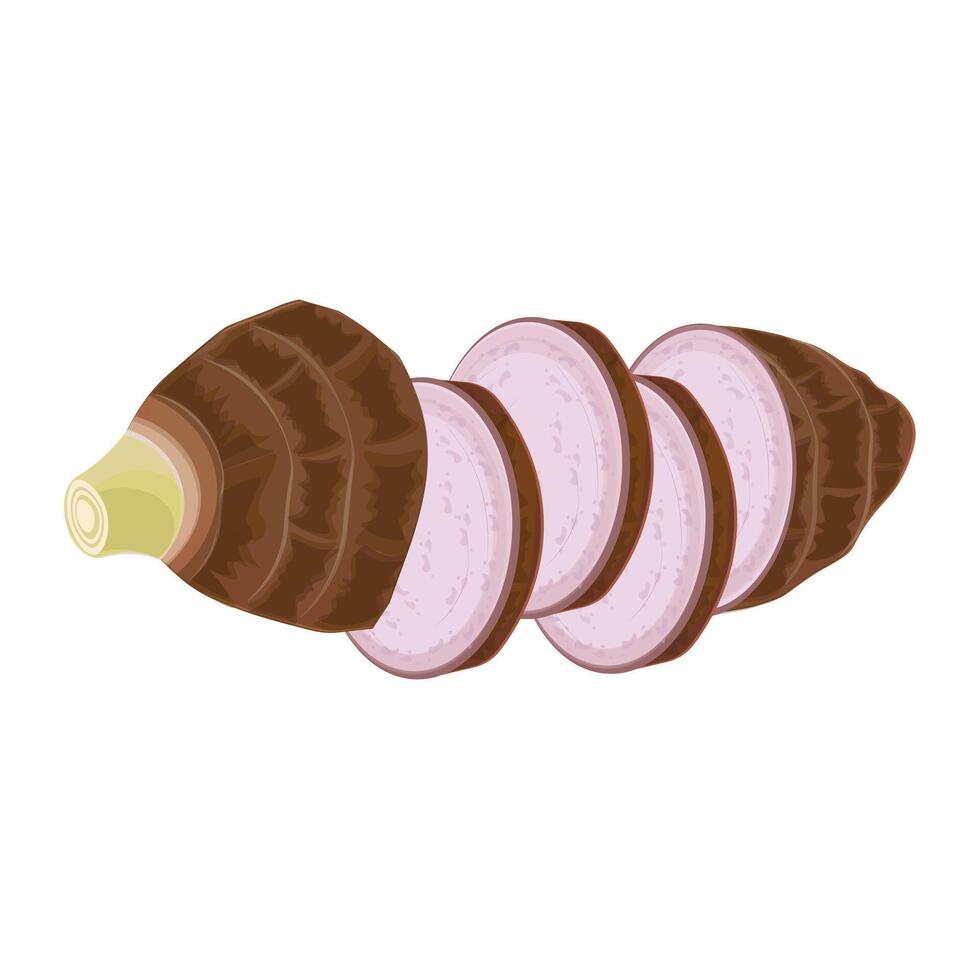 Illustration logo clip art sliced taro roots vector