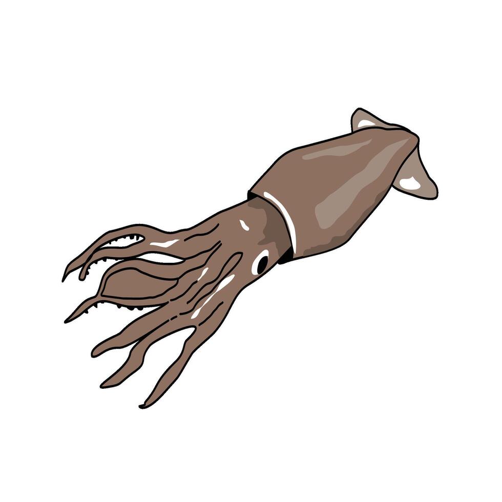 Seafood Collection squid vector