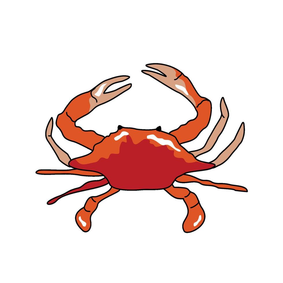 Seafood Collection crab vector