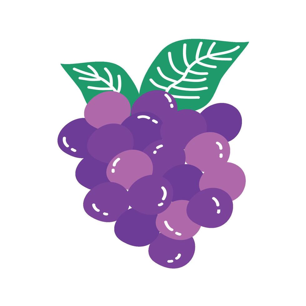 Sweet Fruit Set grape vector