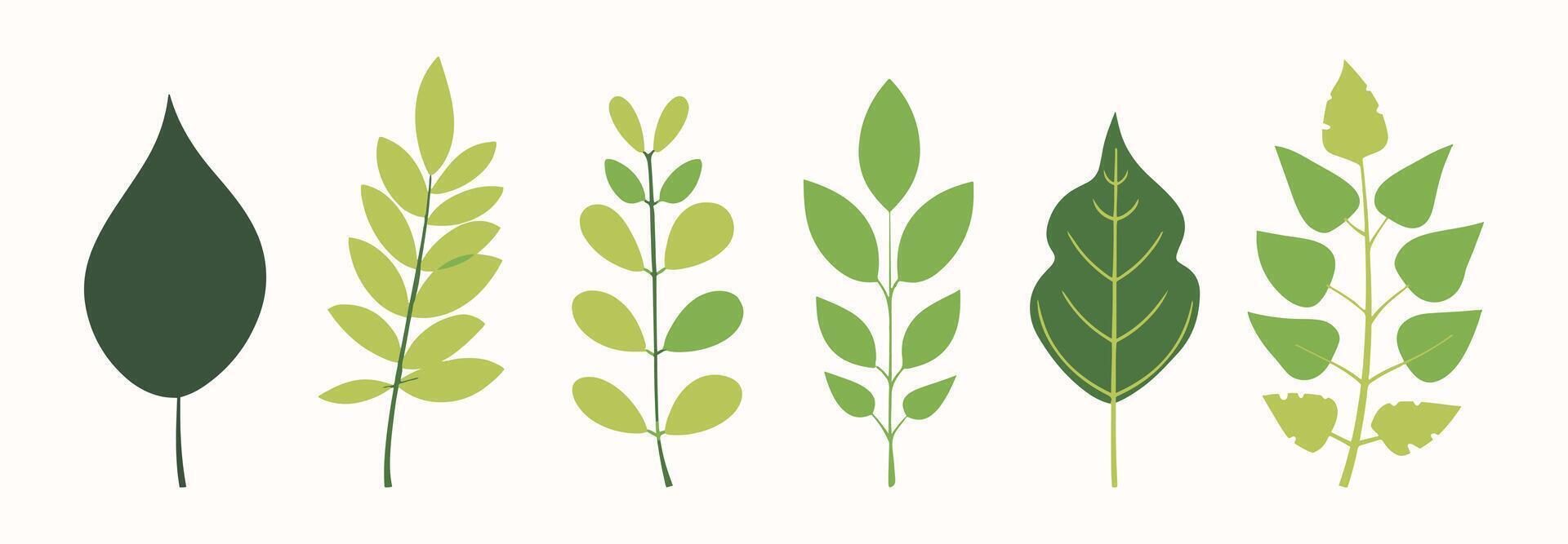 Tree and leaf collection hand drawn flat design element. botanical set of bare trees and ones with leaves and lush limited pastel color vector