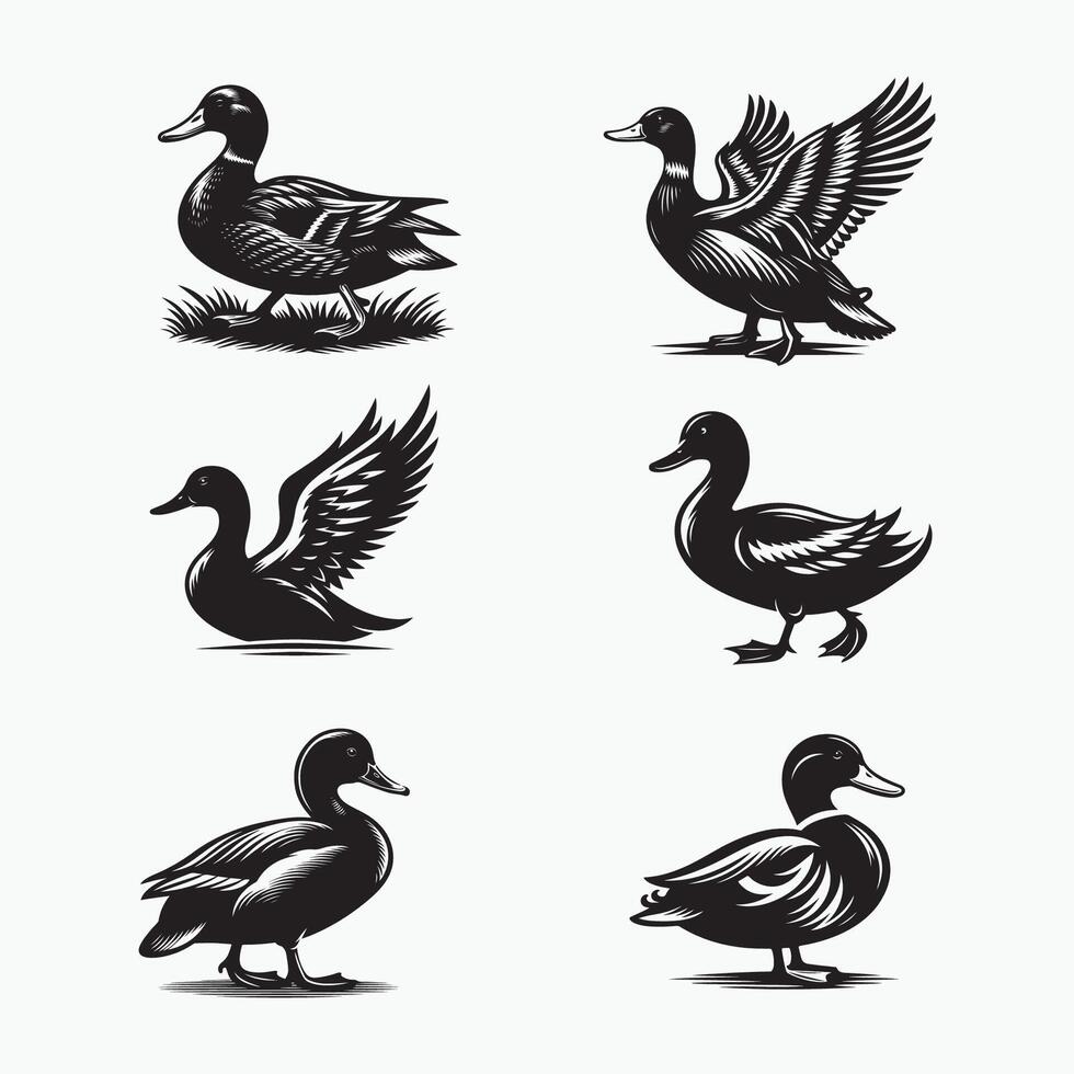 Black and white silhouette duck set illustration. logo vector
