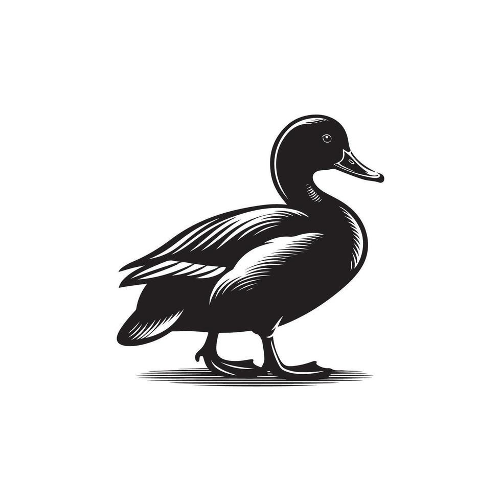 Black and white silhouette duck illustration. Silhouette illustration of a duck. logo vector