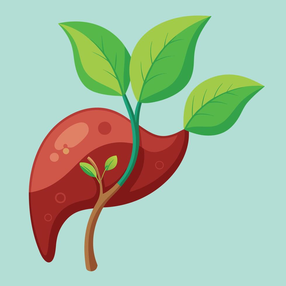 Organ day liver with a leaf sprouting illustration art vector