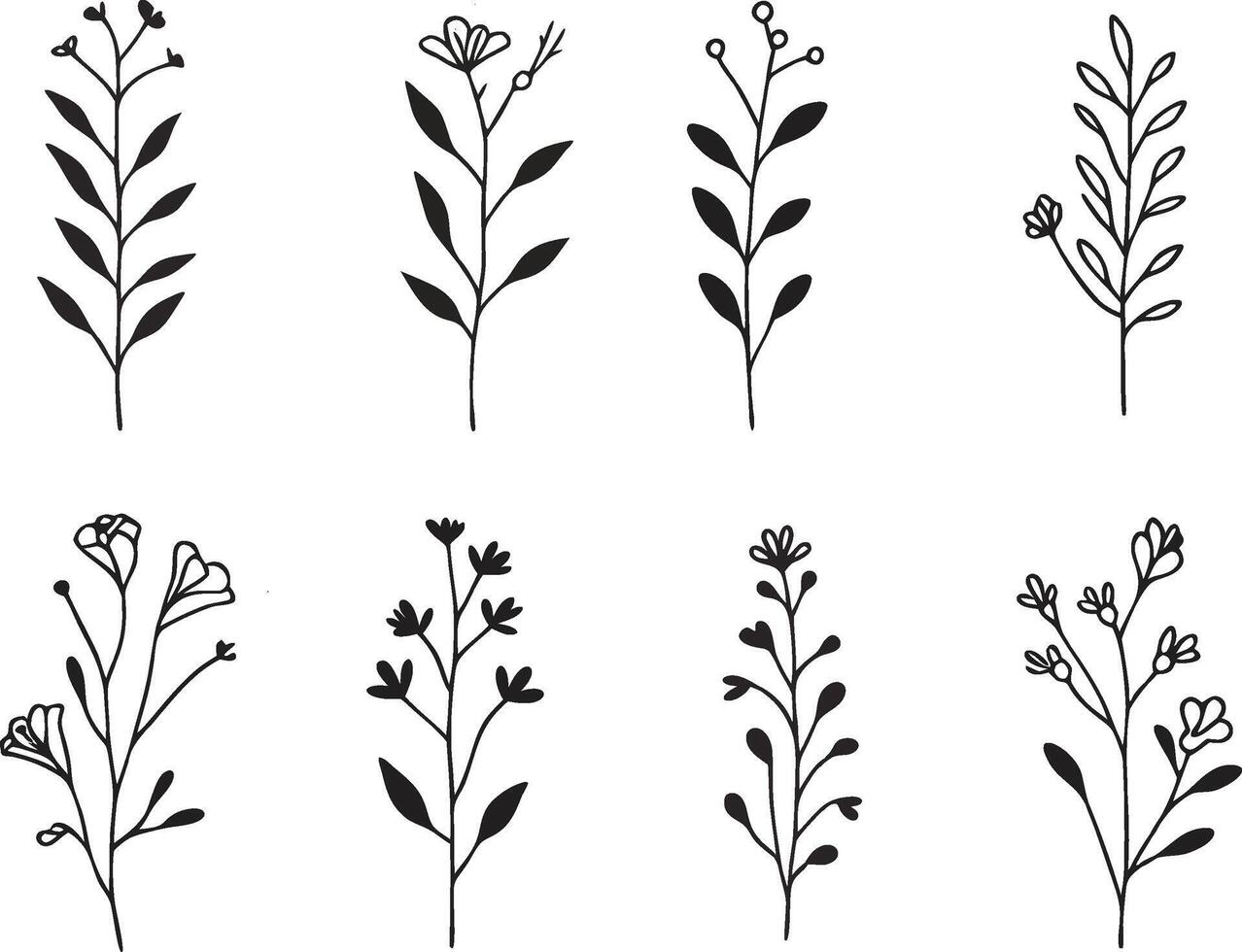 Minimalistic Botanical Element Art vector