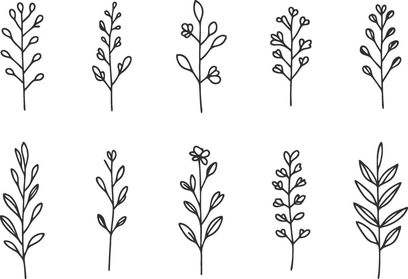Minimalistic Botanical Element Art vector