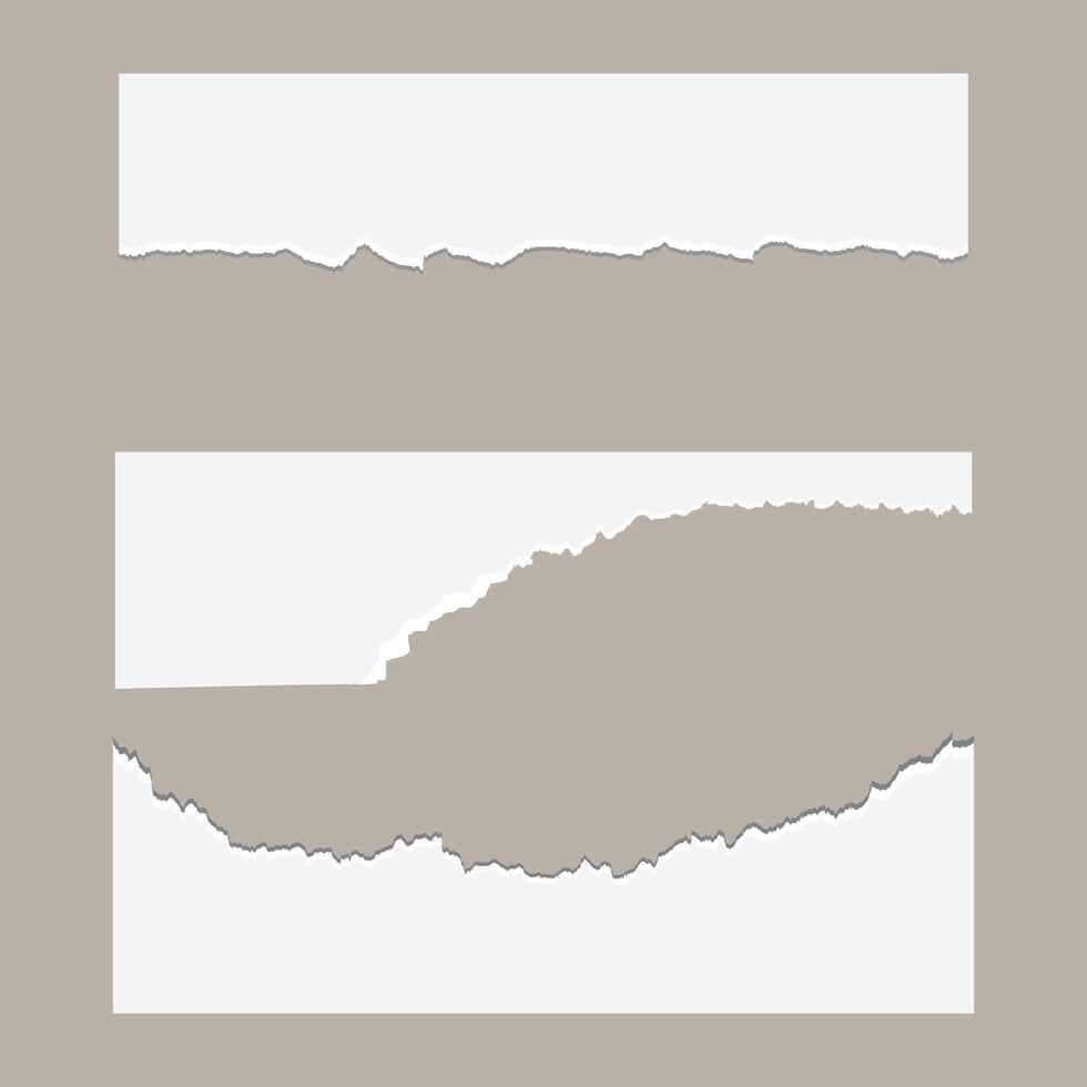 White ripped paper strips collection. Realistic paper scraps with torn edges. Sticky notes, shreds of notebook pages. vector