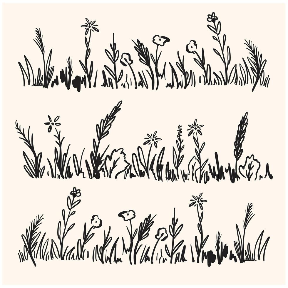 Wild meadow grasses, wildflowers, spikelets, inflorescences. Lawn, herbal plants, long banner With illustration style doodle and line art vector