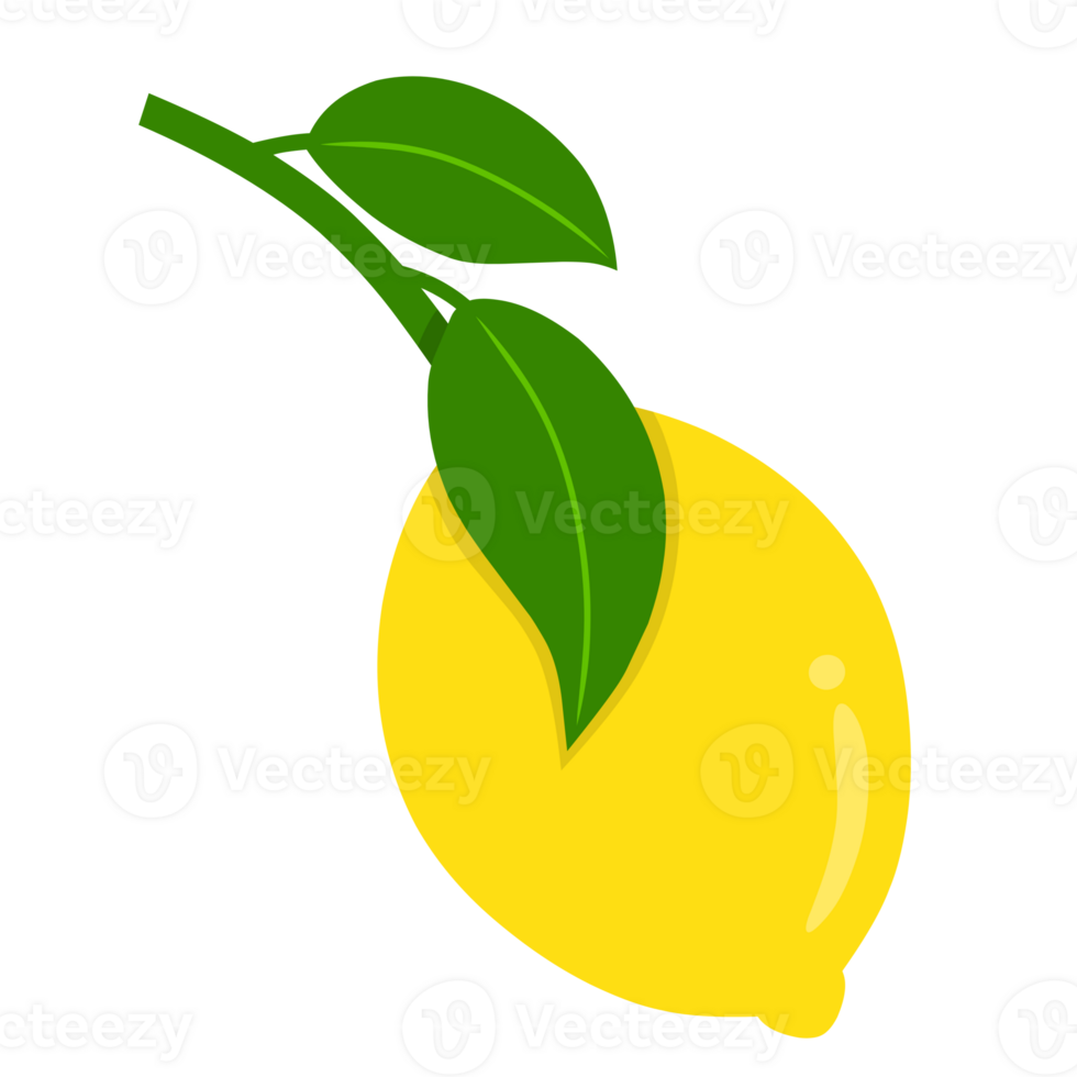 Fresh yellow lemon illustration png
