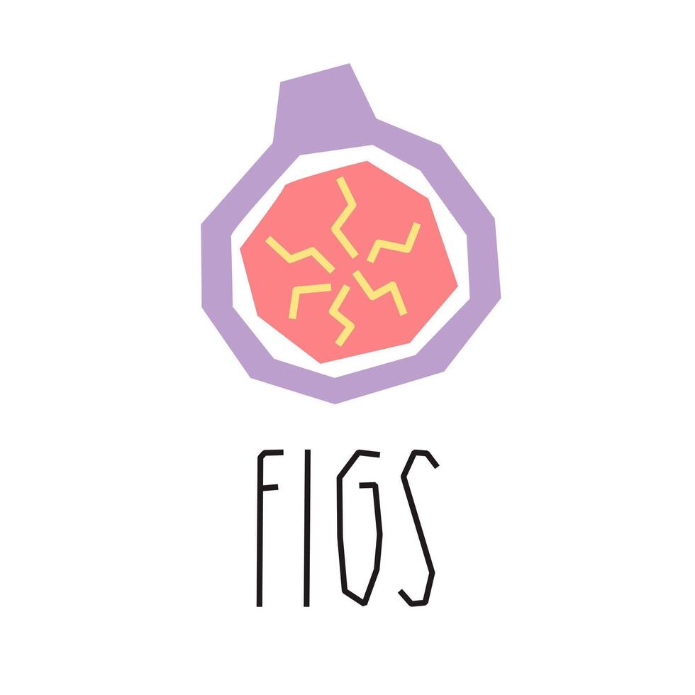 Fig cartoon illustration and text isolated on white. Tropical fruits. Fig slice geometric logo, print, design. vector