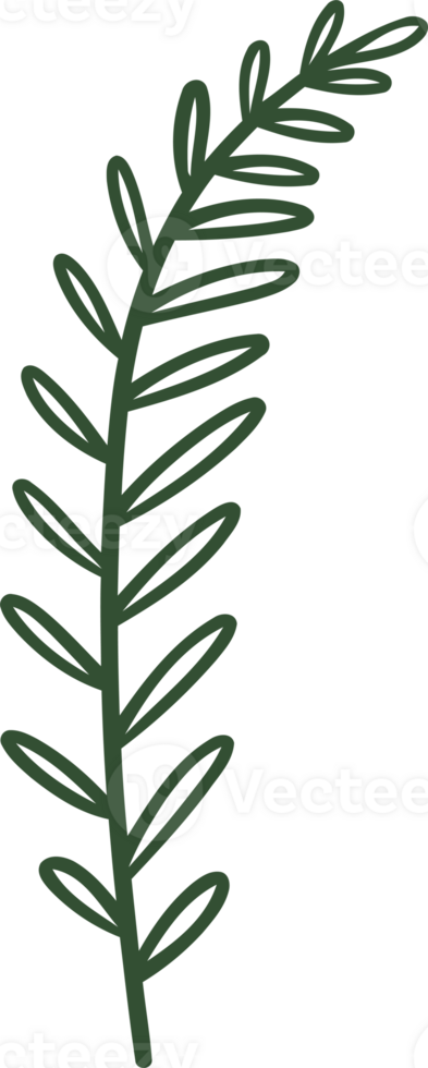 fern line illustration organic design png