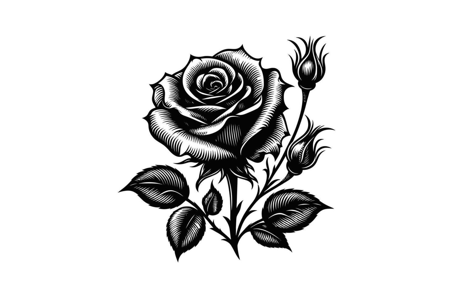 Rose silhouette Vectors art illustration