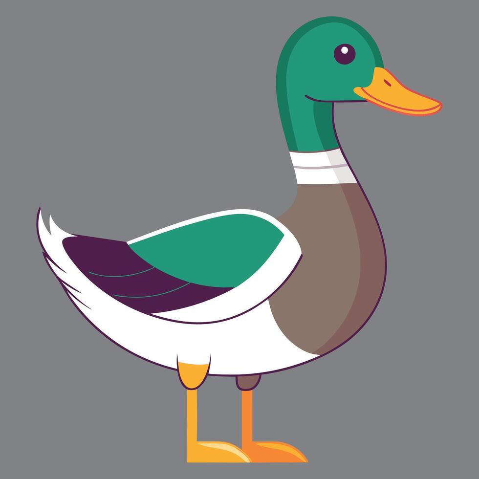 A colorful duck eps vector