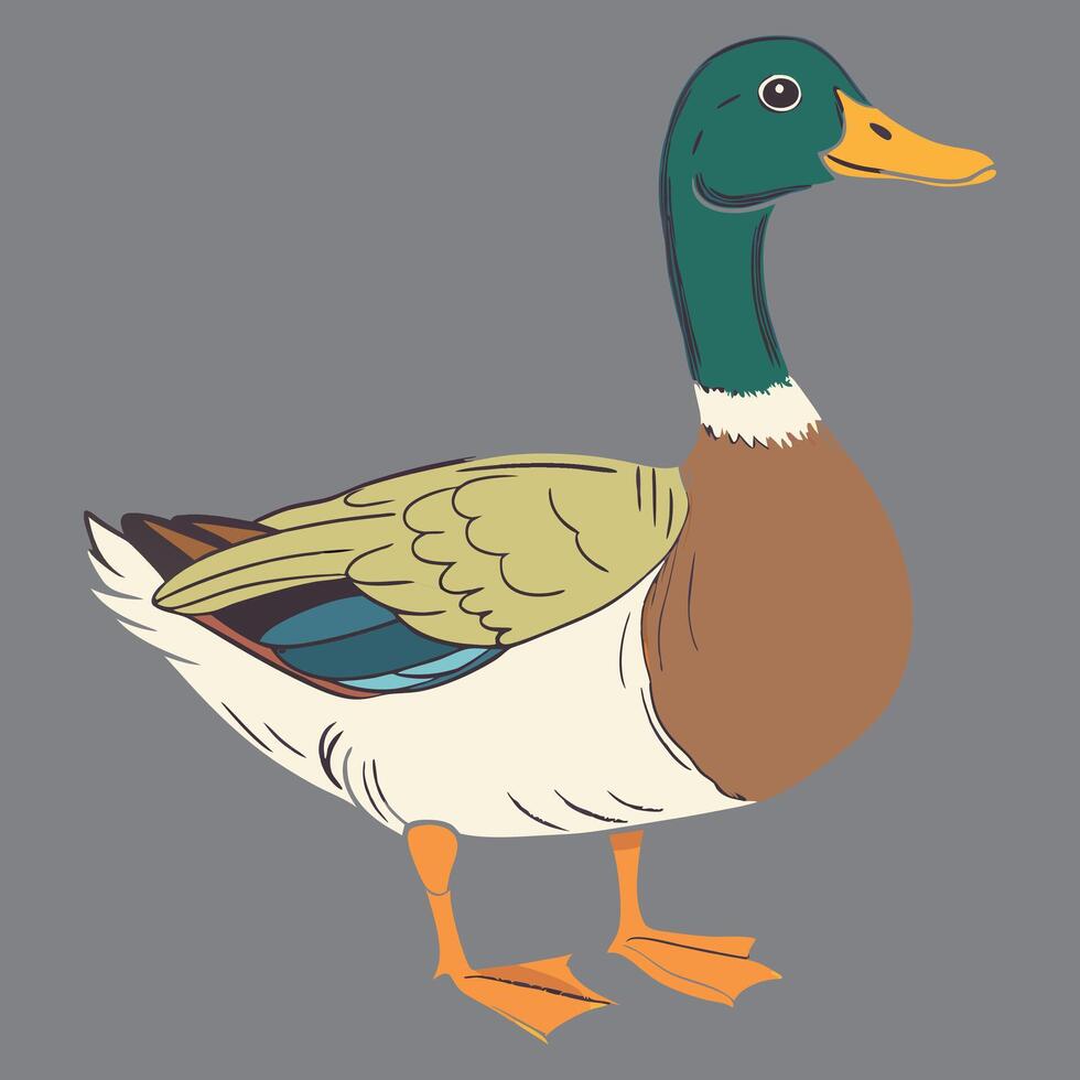 A colorful duck eps vector