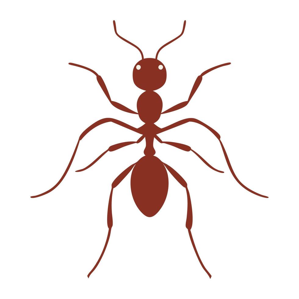 Colorful Ant Royalty-Free Photos and eps vector
