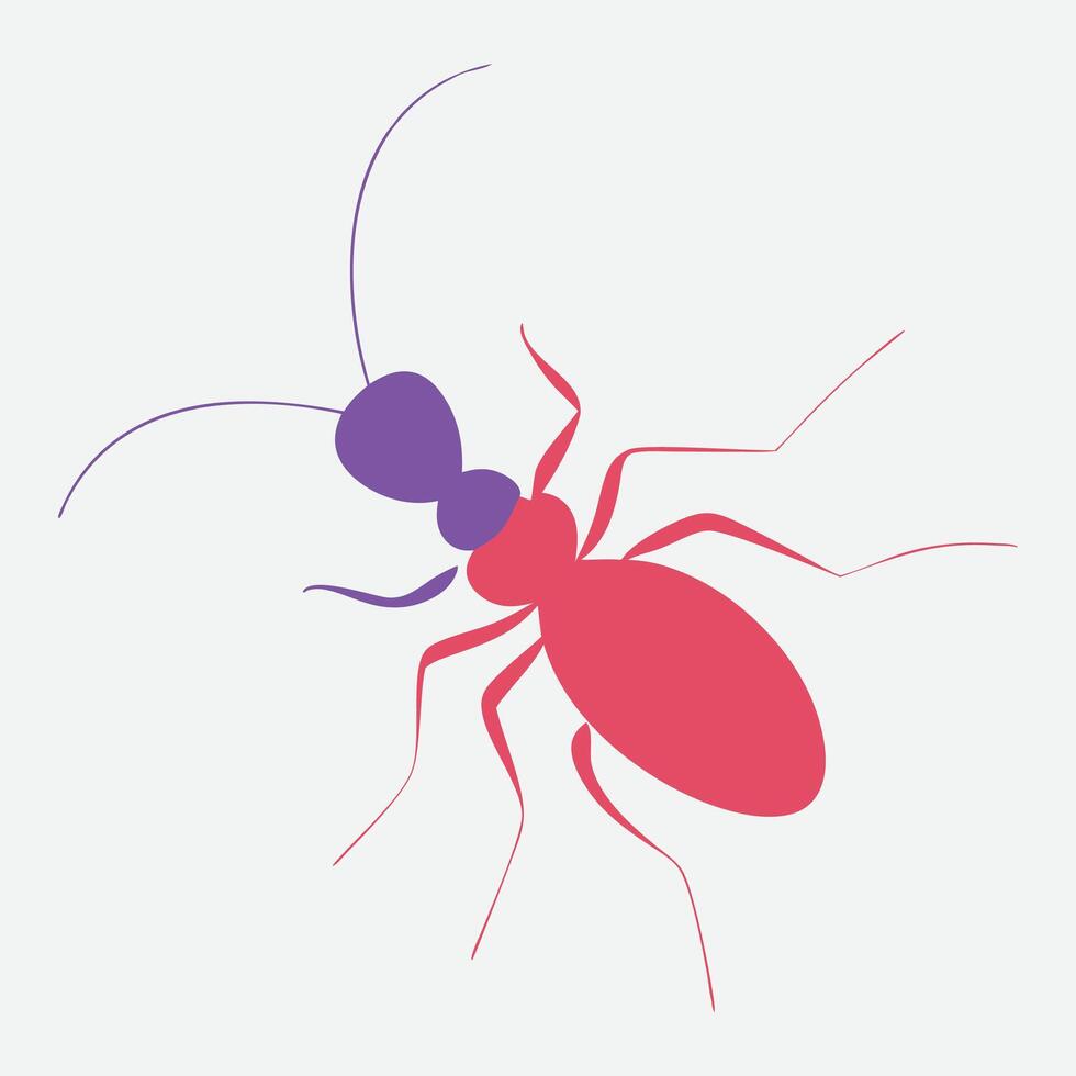Colorful Ant Royalty-Free Photos and eps vector