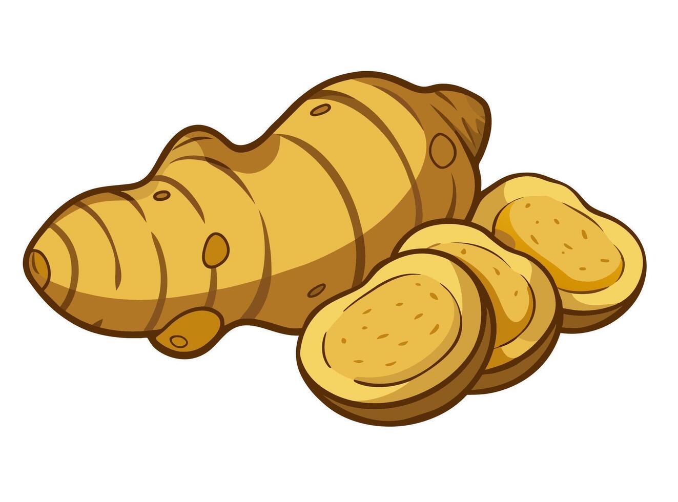 Hand drawn ginger root, whole and sliced. Cartoon style illustration. vector