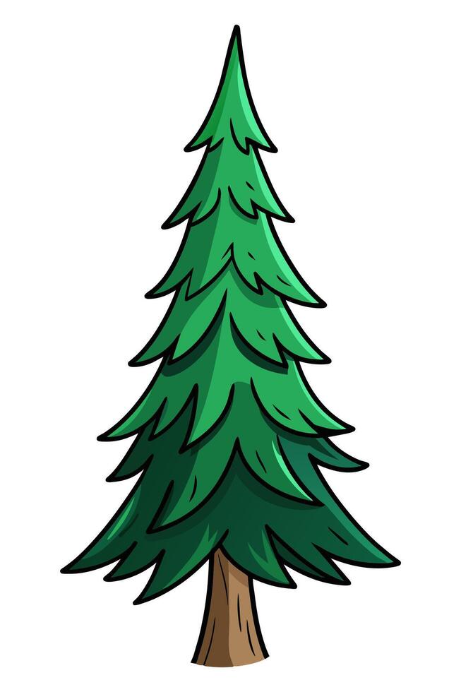 Hand drawn spruce tree isolated on white. Evergreen plant. Cartoon style illustration vector