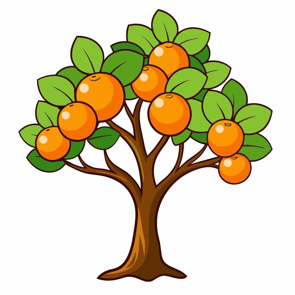Orange tree with ripe fruits isolated on white background. Cartoon style illustration. vector