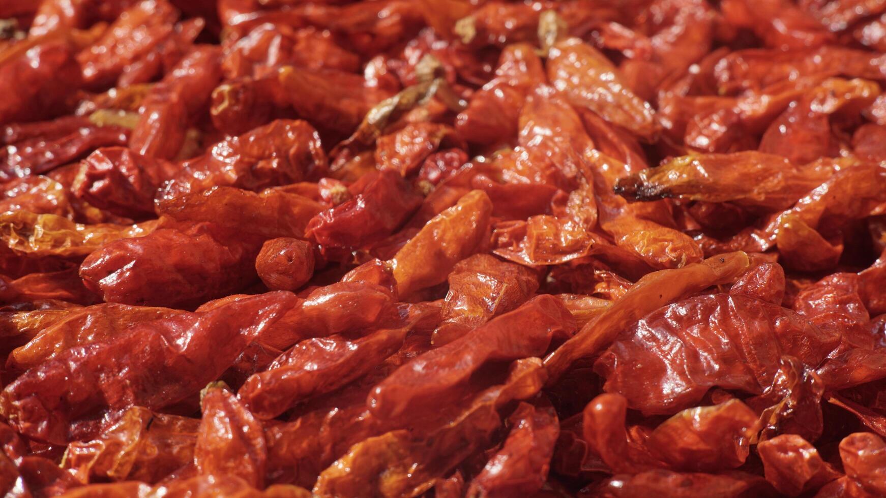 Close up small dried chilies dried in the sun on a bamboo tray photo